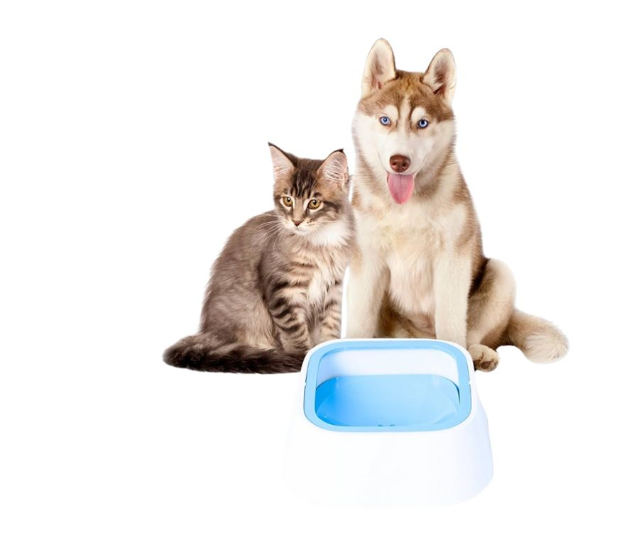 Bebedero Anti-Derrame para Perros y Gatos